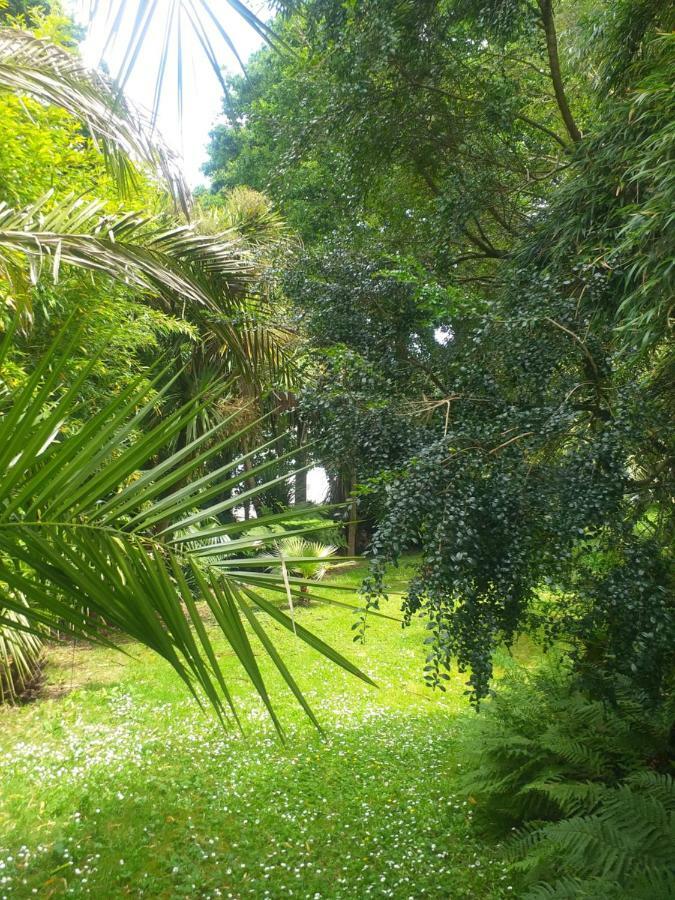 Вилла Un Jardin En Pente Douce Locquenole Экстерьер фото