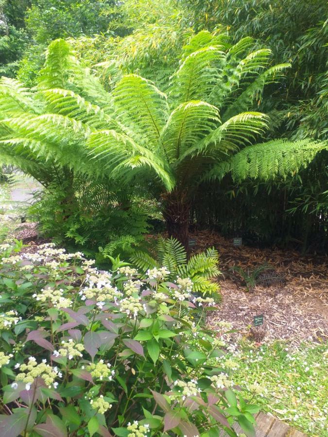 Вилла Un Jardin En Pente Douce Locquenole Экстерьер фото
