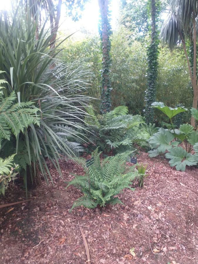 Вилла Un Jardin En Pente Douce Locquenole Экстерьер фото