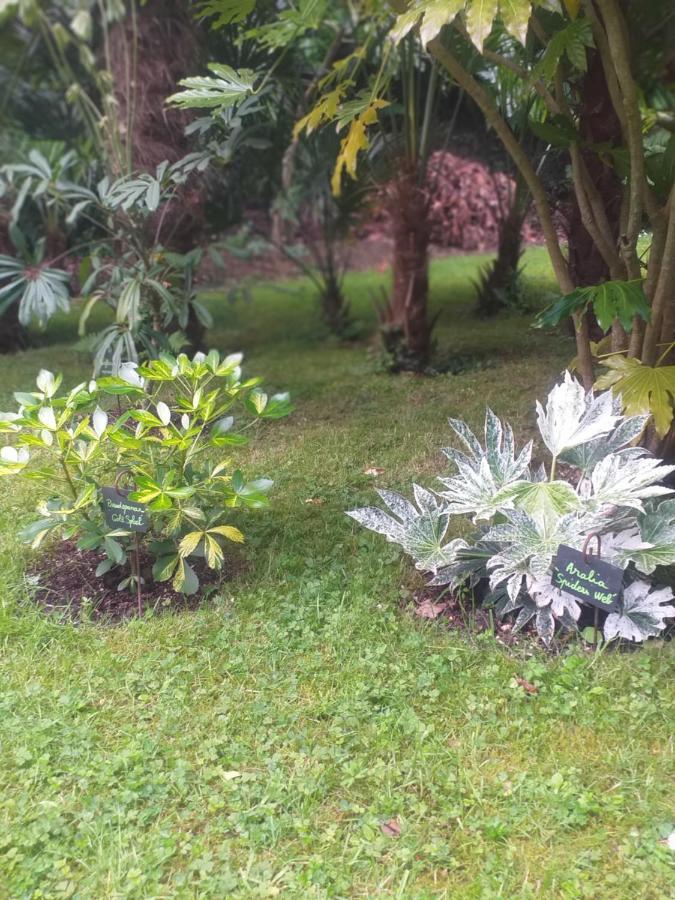 Вилла Un Jardin En Pente Douce Locquenole Экстерьер фото